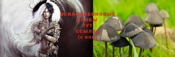мяу мяу мука Абдулино