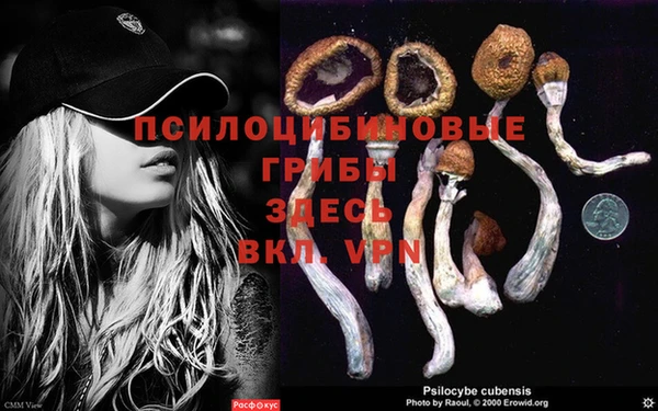 мяу мяу мука Абдулино