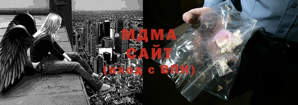 индика Елизово
