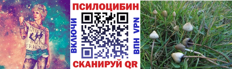 Галлюциногенные грибы MAGIC MUSHROOMS  Иркутск 