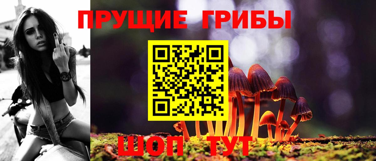 Иркутск  Псилоцибиновые грибы Cubensis  Вход с VPN  Галлюциногенные грибы мухоморы 