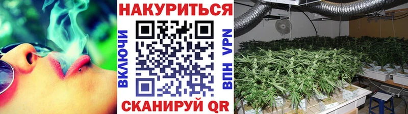 блэк спрут зеркало  Иркутск  Бошки марихуана индика 